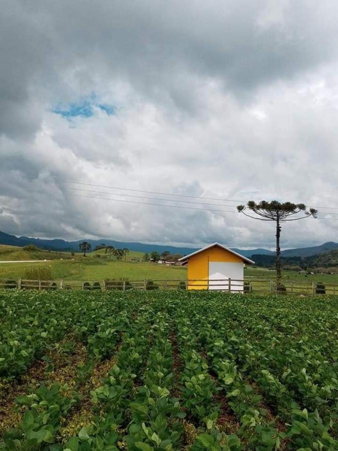 Cabana Caminho Das Borboletas Bom Retiro  Eksteriør bilde